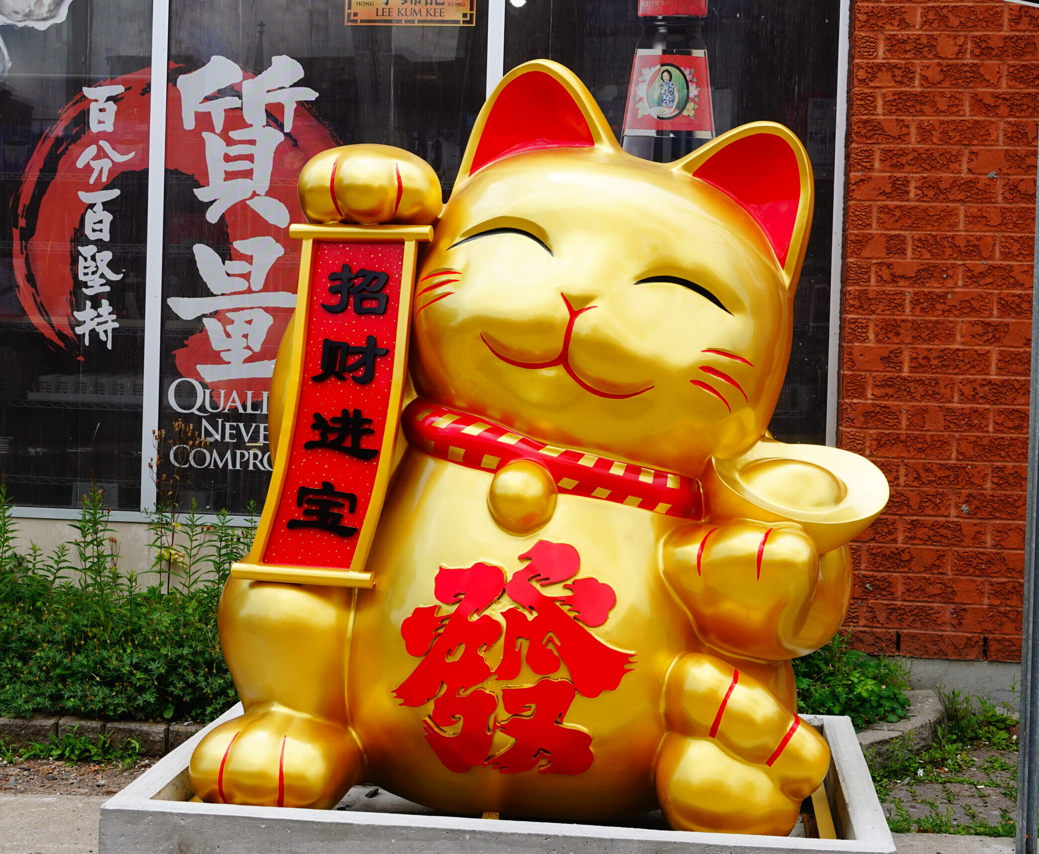 The Lucky Cat